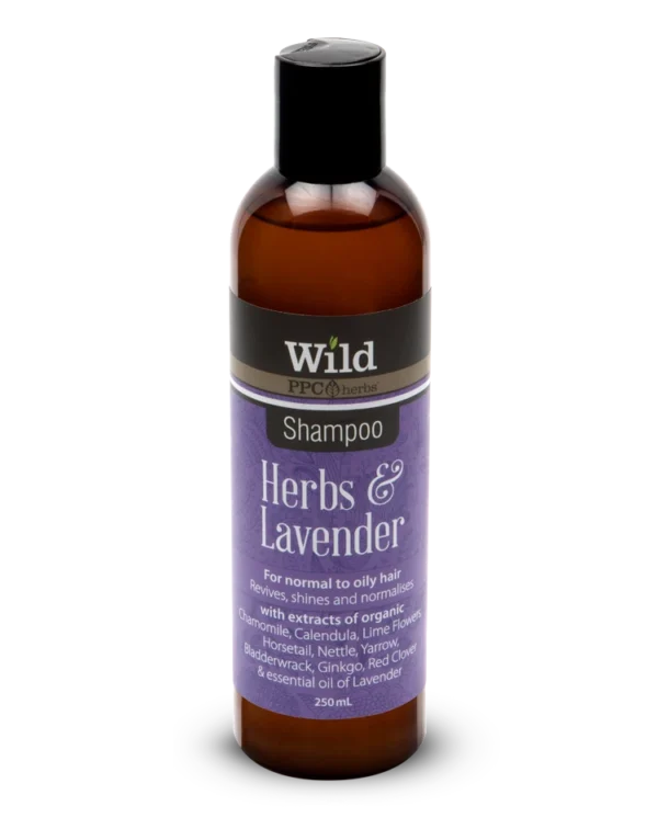 Wild Web Lav Shampoo