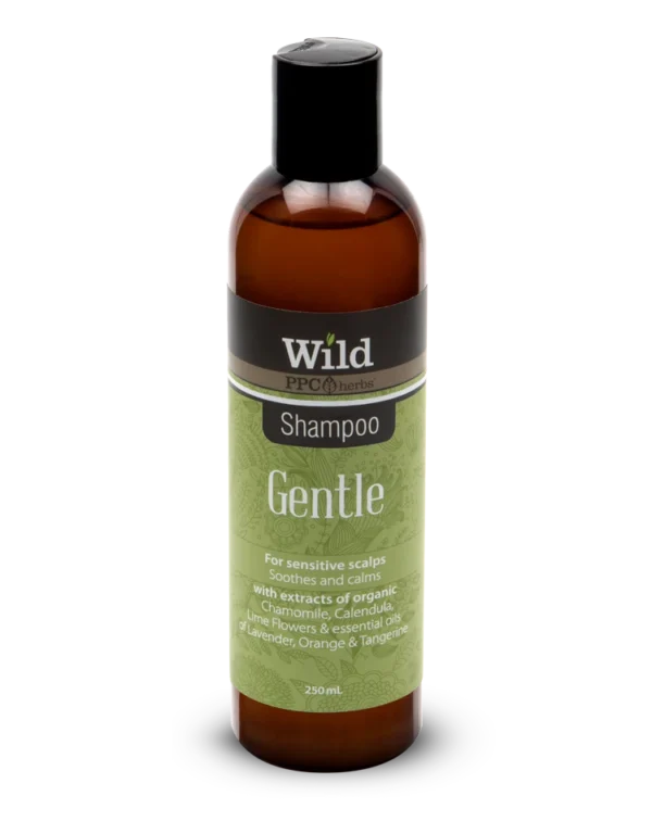 Wild Web Gentle Shampoo