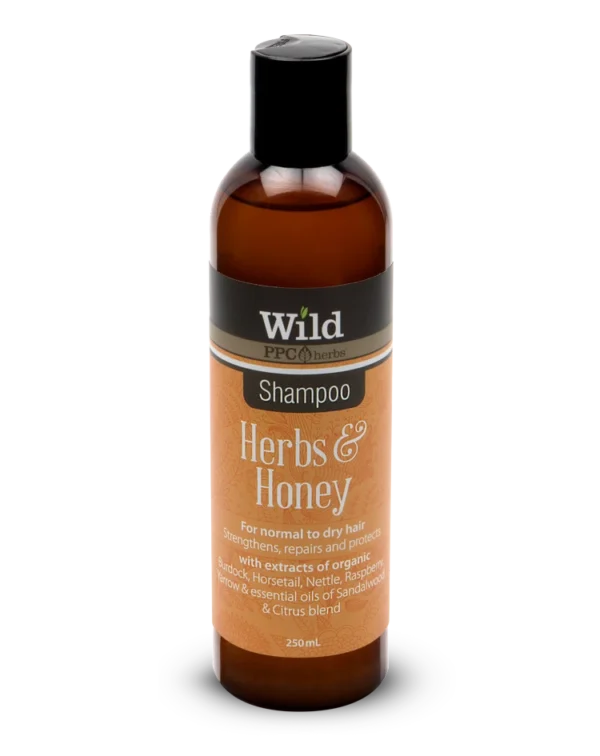 Wild Web Honey Shampoo